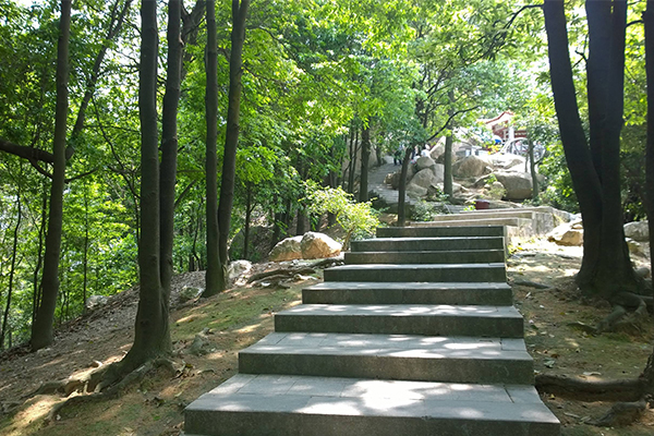 深圳十大爬山好去处排行榜:梅沙尖上榜，公司团建的绝佳地插图7