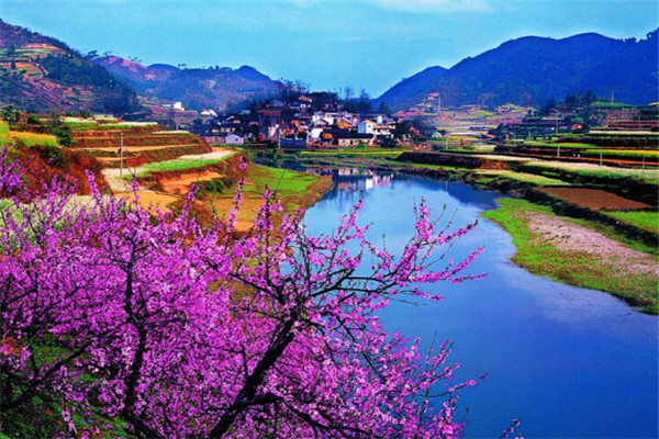 适合一个人散心的地方：凤凰古城上榜，它是油菜花之乡插图7