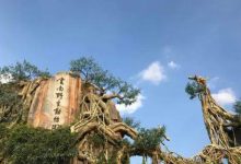 中国最值得去的10大动物园 大连森林动物园上榜第一清朝开放|爱分享