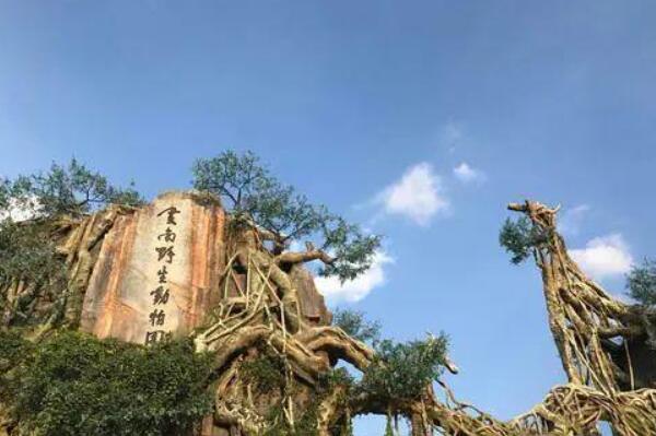 中国最值得去的10大动物园 大连森林动物园上榜第一清朝开放插图9