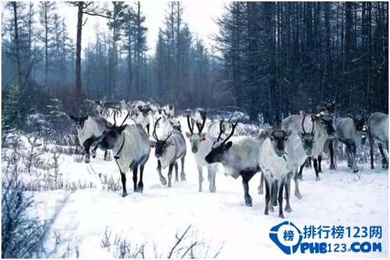 2015中国十大冰雪景观，张张美爆！插图8