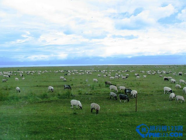 北京周边最美10大草原排行榜插图5