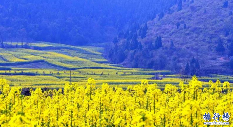 最美广东十大古镇排名,广东哪个古镇最好玩？插图1