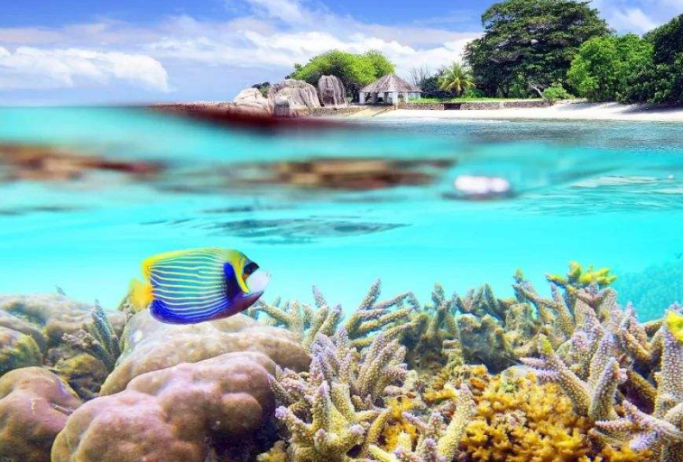 世界十大潜水圣地 伯利兹大蓝洞上榜（全球最深）插图8