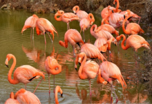 合肥十大网红打卡圣地：合肥大剧院上榜，罍街仅第三|爱分享