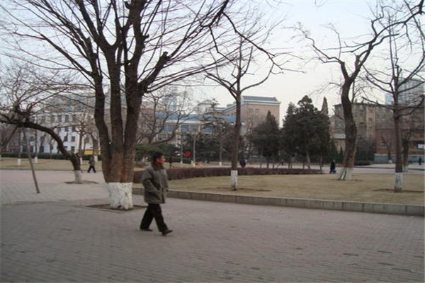 茂名十大公园广场排名：潘州公园上榜，第4以稻田为主题插图2