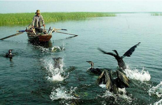 2017年雄安新区最值的去的景点排名,百里峡受热捧(白洋淀最知名)插图1