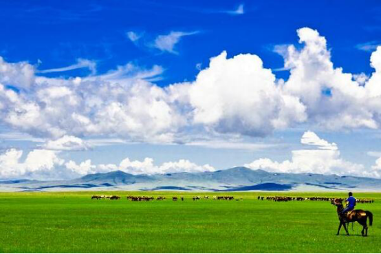 一生必去的中国10个最美地方 新疆喀纳斯上榜,第一非常壮观插图5