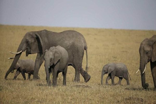 《孤独星球》2020十大最佳旅行国家 不丹登顶荷兰风车国家插图4
