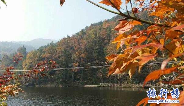 武汉秋天去哪玩？盘点适合秋天玩的武汉景点插图