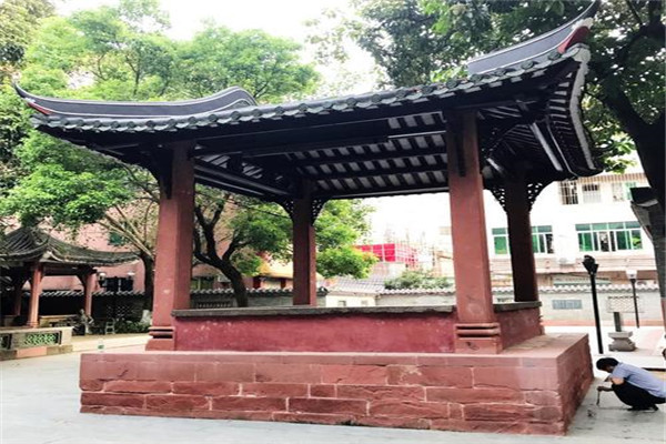 东莞十大人少好玩景点：鲤鱼洲第七，第八可看水生态景观插图3