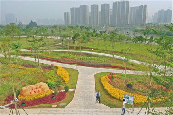 阳江十大公园广场排名:名树公园上榜,第2有网红花海插图1 阳江十大公园广场排名:名树公园上榜,第2有网红花海插图1