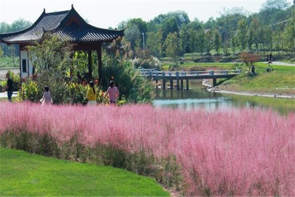 南昌最好玩的地方推荐 南昌好玩的地方排行榜插图7