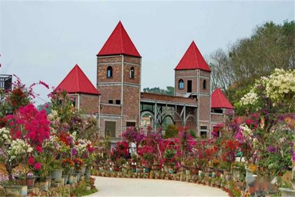 茂名十大风景名胜排名：钟鼓楼上榜，第6茂名网红街插图4