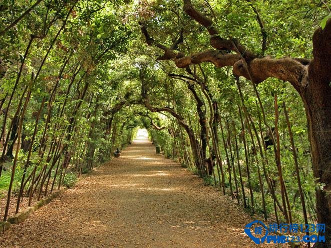 世界最美丽的十大花园插图5