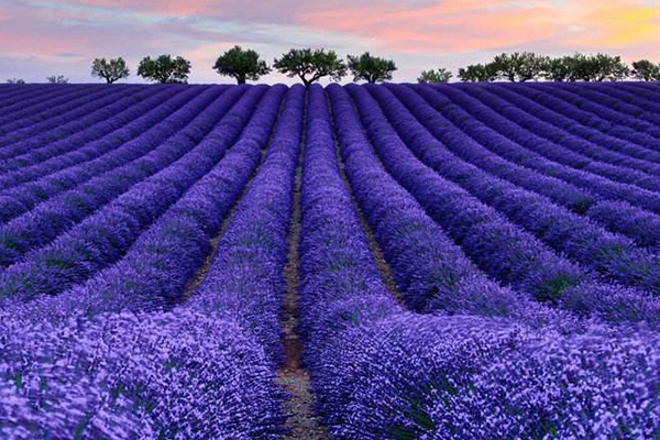 北京十大最受欢迎景点:生存岛上榜 既有野外探险也有农家休闲插图