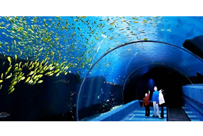 全球海洋馆排名 带你感受独特的海底世界插图 全球海洋馆排名 带你感受独特的海底世界插图