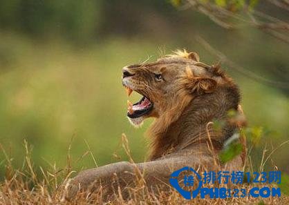 全球十大“被遗忘的天堂”插图6