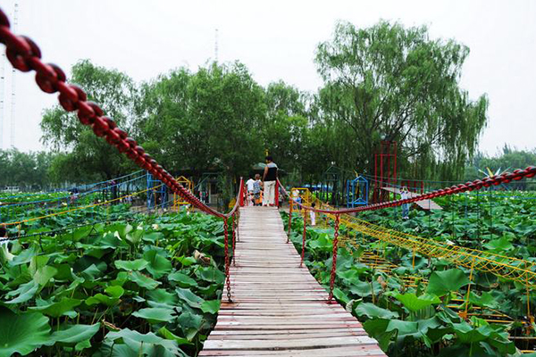 北京十大最具特色的景点:清朝最大王府 恭王府上榜！插图6