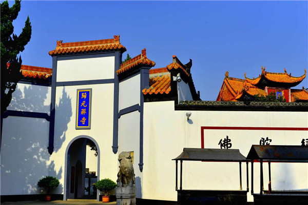 武汉十大冬季旅游好去处：归元寺第四，第六冬季赏茶花插图3