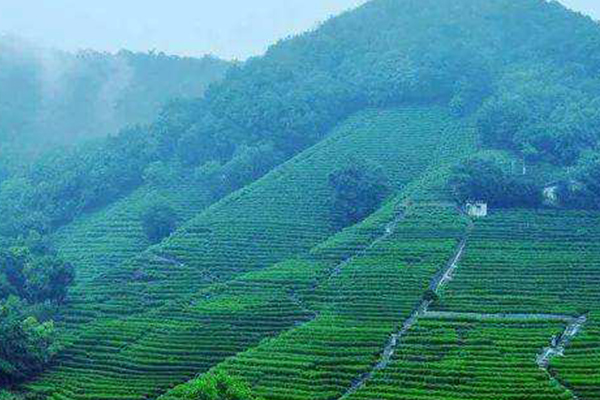 杭州十大爬山好去处排行榜：凤凰山 宝石山 吴山上榜插图3