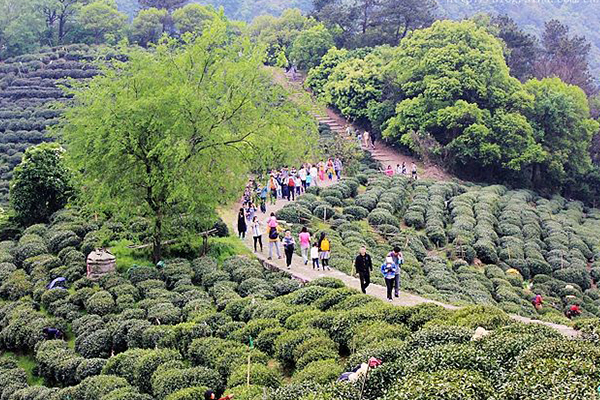 杭州十大爬山好去处排行榜：凤凰山 宝石山 吴山上榜插图5