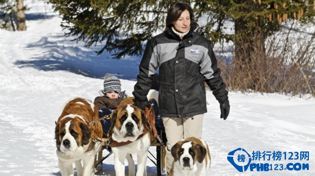 欧洲十大冬季消遣之地排行榜插图3