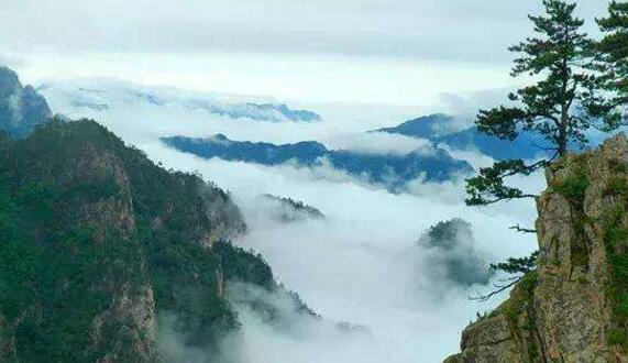 南阳好玩的地方排行榜 卧龙岗必游，武侯祠是人文景点的代表插图6