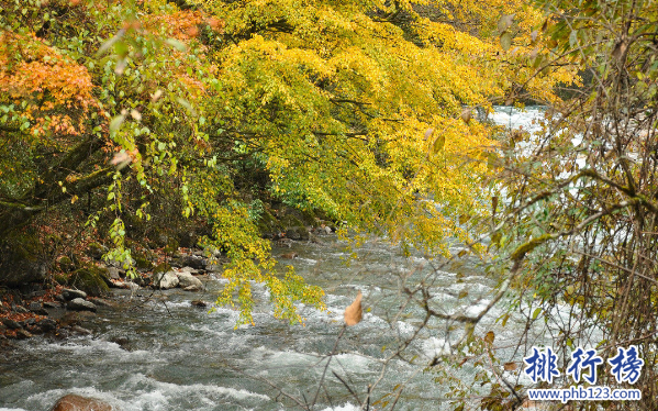 四川什么地方避暑最好?四川10大避暑胜地排名插图6