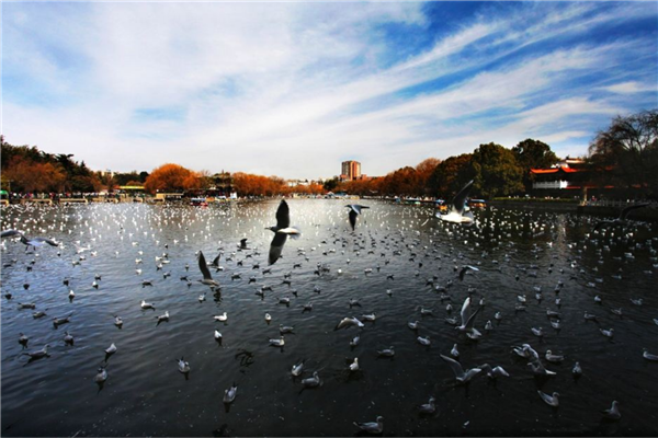 夏季旅游最完美的五个城市 桂林自然景观独特 丽江景点众多插图