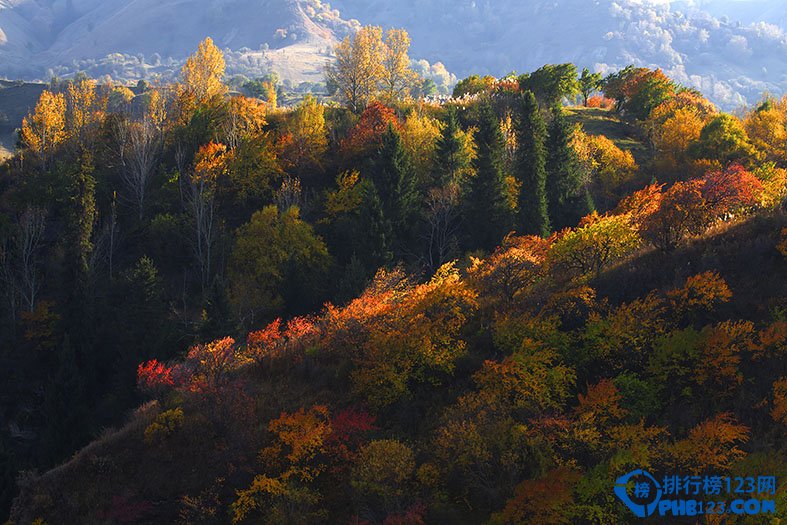 你不得不知的二十个美不胜收的新疆美景插图15