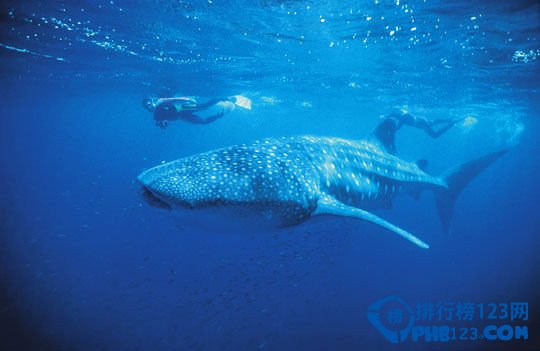 盘点全球十大最奇特的旅游景点插图5