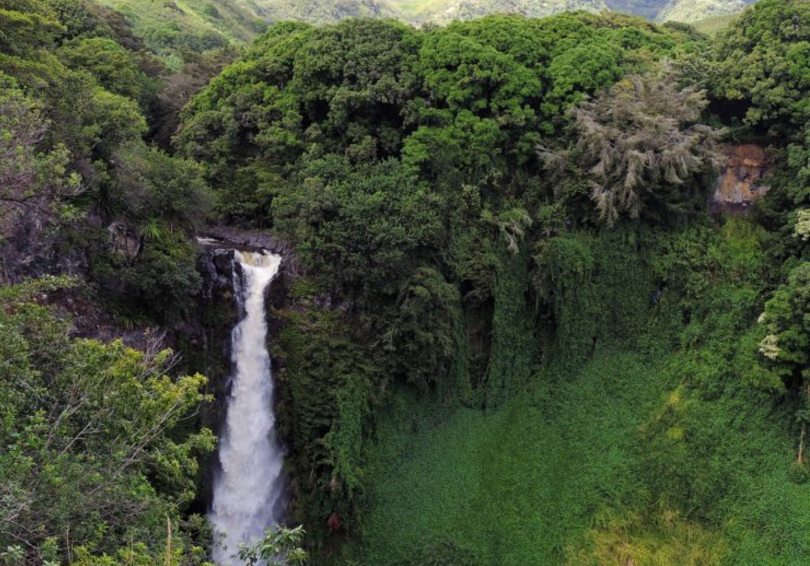 世界最美十大热带雨林 带你走进神秘的大自然插图3