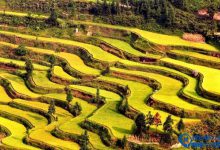 全球最美的十大梯田排行榜|爱分享