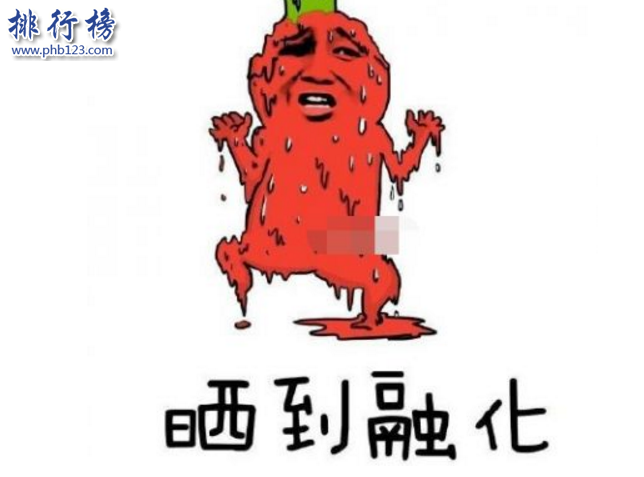 中国四大火炉排行榜：杭州上榜，第一热得爆炸插图1