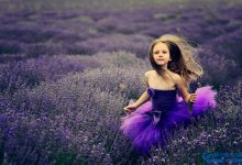 盘点全球十大最美的薰衣草花田|爱分享