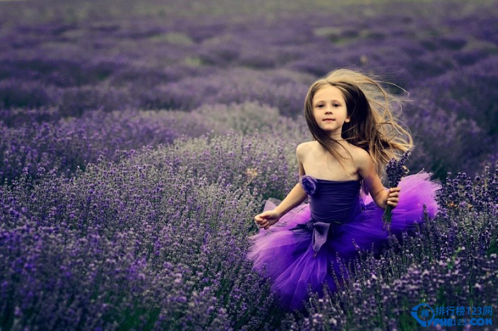 盘点全球十大最美的薰衣草花田插图9