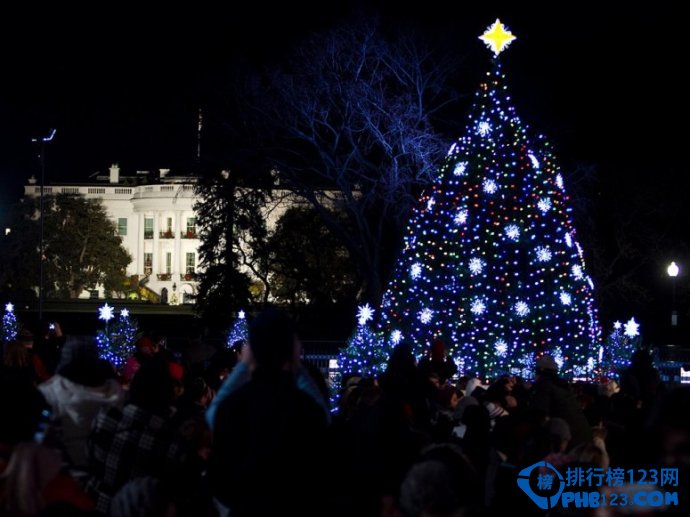 全球最美的十四大圣诞树排行榜插图5