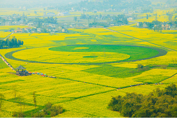 中国十大仙境：有的热烈奔放有的高贵冷艳但总能不虚此行插图3