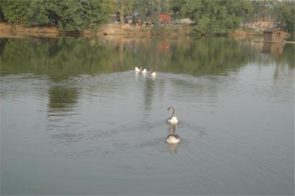 成都十大公园广场排行榜：同心广场上榜，它的热度最高插图3