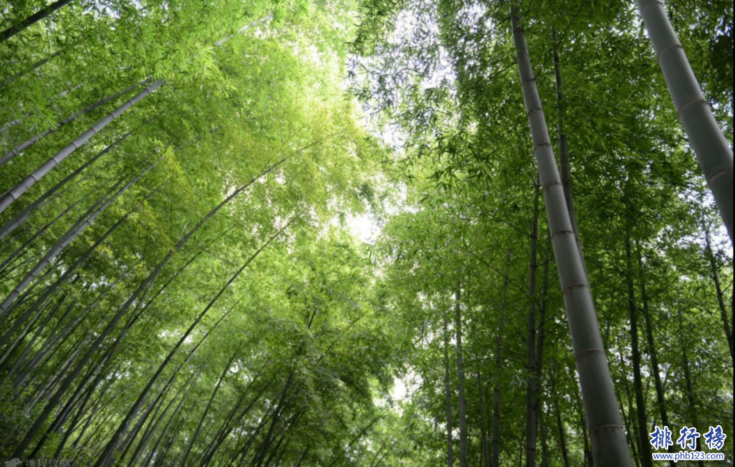 常州好玩的地方排行榜 常州十大旅游景点排名插图