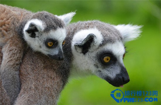 印度洋十大稀世宝岛排行榜插图4