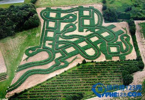 世界十大迷宫插图5