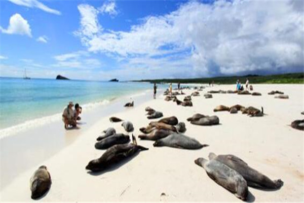 世界十大岛群 马尔代夫风景绝美，夏威夷群岛必去插图6