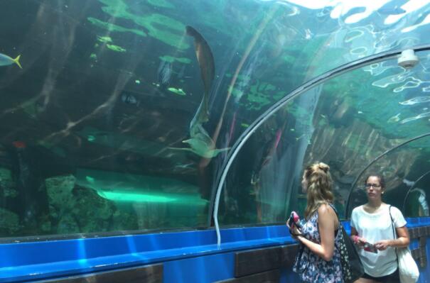 世界十个最大动物园 北京动物园第四，第一在德国插图1