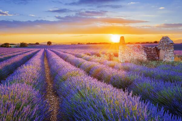 世界十大绝美旅行地 马尔代夫上榜，第七是“薰衣草之乡”插图6