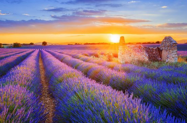 法国十大著名景点排行榜：埃菲尔铁塔上榜，第五修建最早插图9