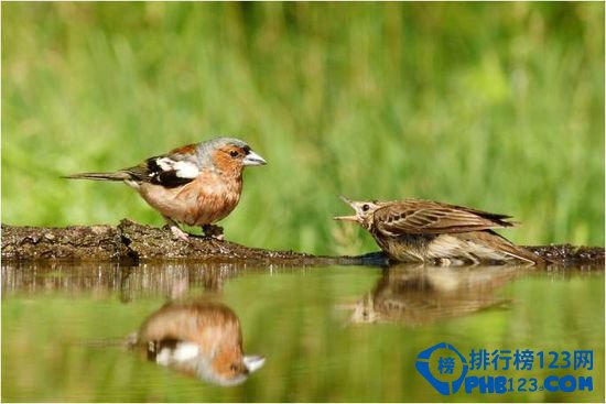 揭晓中国十大世外桃源 你无处可去嘛？插图1