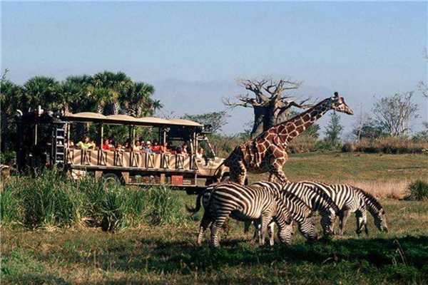 世界最著名的十大迪士尼乐园 上海迪士尼乐园上榜面积最大插图7