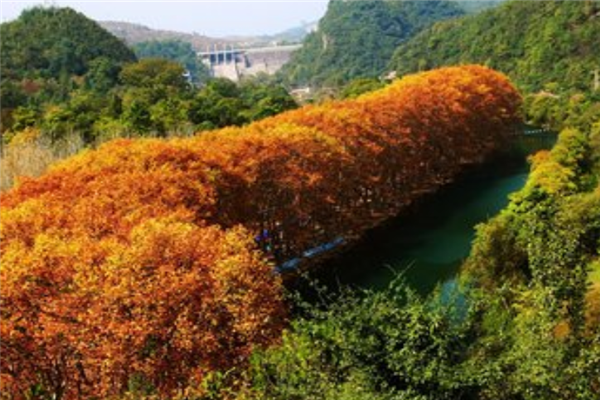 贵阳十大风景区排行榜：蓬莱仙界园上榜，息烽温泉第九插图3